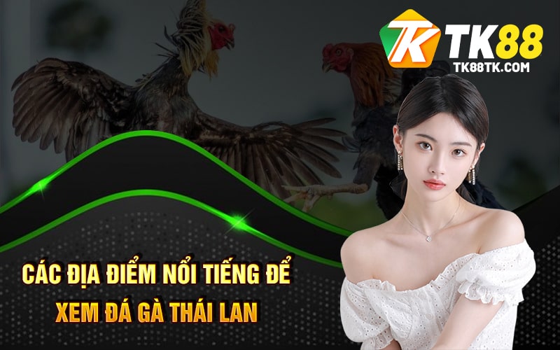 Đá Gà Thái Lan Là Gì? Cách Chơi và Những Điều Bạn Cần Biết 3 Các địa điểm nổi tiếng để xem Đá Gà Thái Lan
