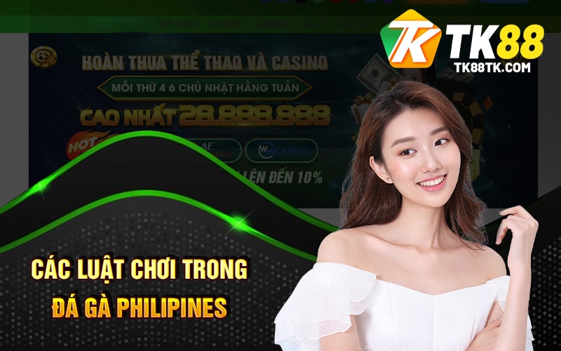 Đá Gà Philipines - Luật Chơi Và Những Điểm Đặc Biệt Hấp Dẫn 2 Các luật chơi trong Đá Gà Philipines