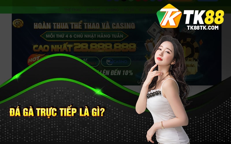 Đá Gà Trực Tiếp Là Gì? Sân Chơi Đẳng Cấp Của Chiến Kê 1 Đá Gà Trực Tiếp Là Gì