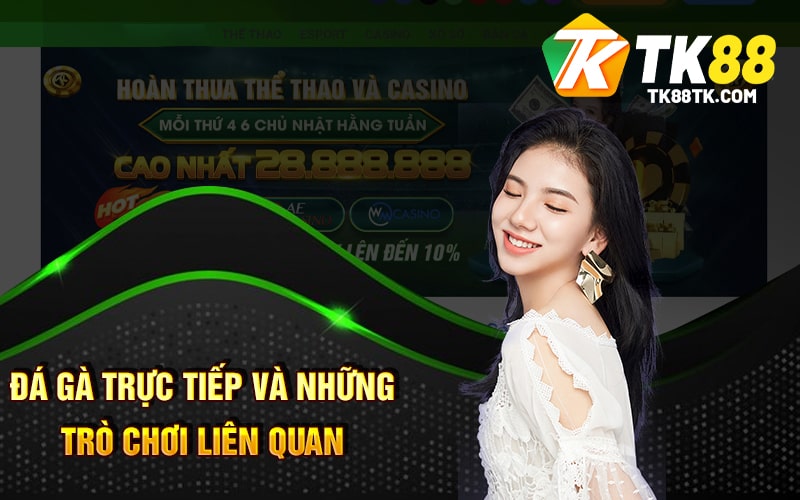 Đá Gà Trực Tiếp Là Gì? Sân Chơi Đẳng Cấp Của Chiến Kê 3 Đá Gà Trực Tiếp và Những Trò Chơi Liên Quan