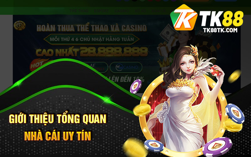 Hướng Dẫn Đăng Nhập Tk88 - Tất Cả Những Gì Bạn Cần Biết 1 Giới Thiệu Tổng Quan Nhà Cái Tk88