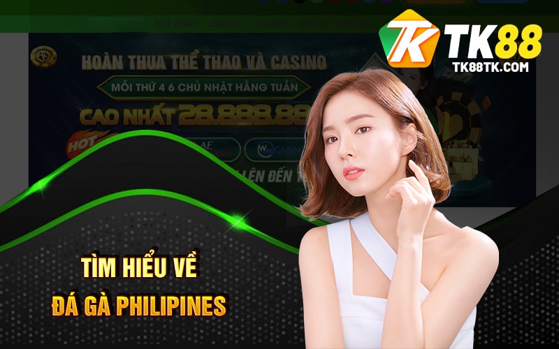 Đá Gà Philipines - Luật Chơi Và Những Điểm Đặc Biệt Hấp Dẫn 1 Tìm hiểu về Đá Gà Philipines